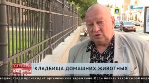 Почему своих любимцев нельзя хоронить возле дома?