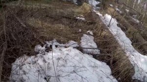 Поиск древних поселений на болотах! Коп 2023г. Основы и секреты кладоискателей!