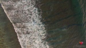 Медитация Джо Диспензы Индукционная техника «Прибывающая вода» 1-я неделя