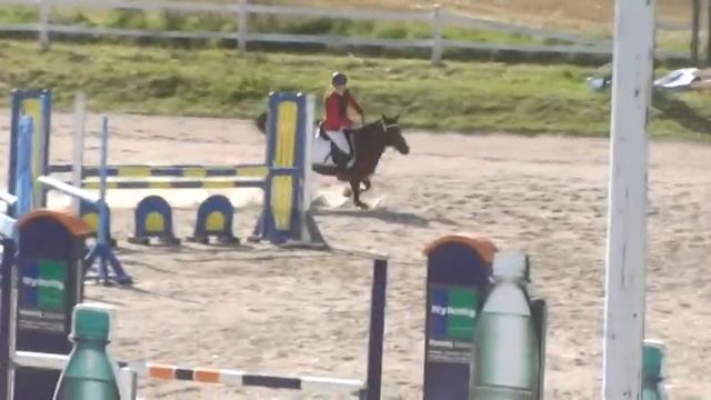 Anemone Nemorosa 2x MB.