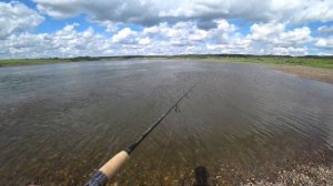 Сбирулино,ловля на бомбарду с мушками .