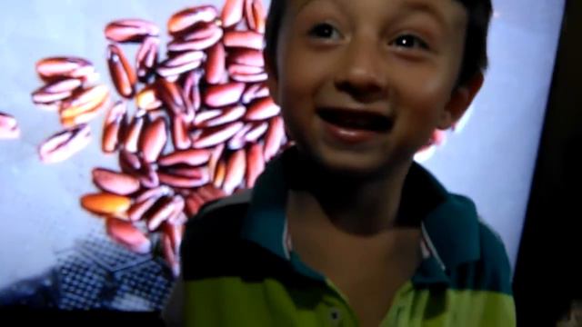 PLANTA EL GERANIO PEDRO MUÑOZ ARBOLEDA VIDEO смотреть онлайн
