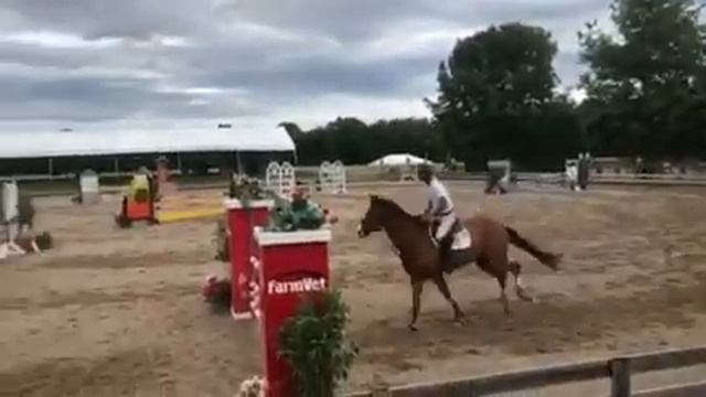 Diego 5Yr Old Young Jumpers 2018 1.10M смотреть онлайн