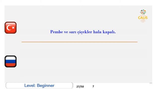 7. Rusça Başlangıç Seviyesi Konuşma Öğrenme