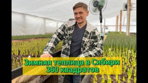 Зимняя теплица в Сибири, 360 квадратов