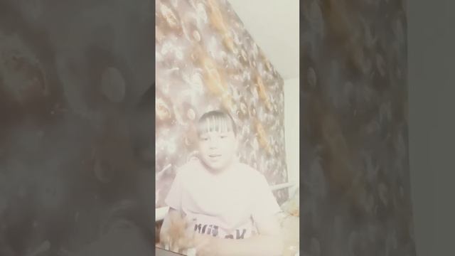 звуко-буквенный разбор слова котопес