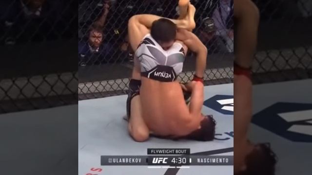 UFC смотреть онлайн