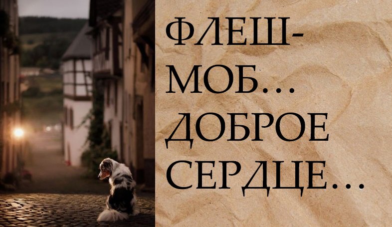 ФЛЕШМОБ…ДОБРОЕ СЕРДЦЕ… смотреть онлайн