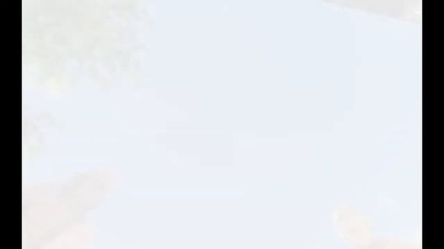 Bioshock infinite -- ( HD 6850 & Core 2 Quad Q8400 ) смотреть онлайн