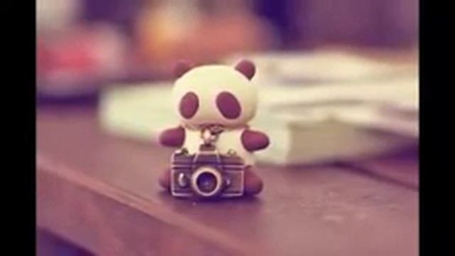 panda craze смотреть онлайн
