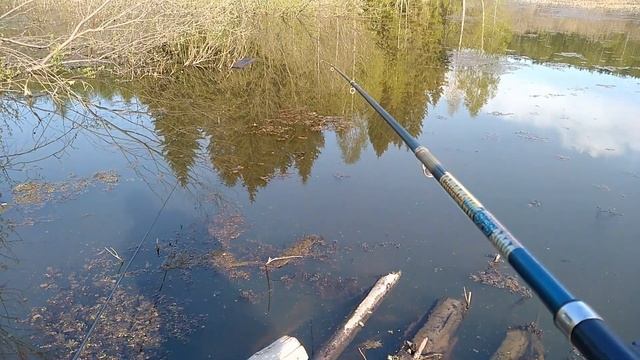 ВЕСЕННЯЯ РЫБАЛКА на ПОПЛАВОК ЛОВИМ КАРАСЯ на Червяка смотреть онлайн