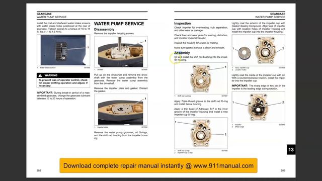 Change Impeller Water Pump Evinrude E-TEC 15 25 30 HP (2009-2011) смотреть онлайн
