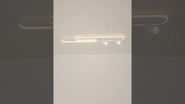 Современный потолочный светильник с двойным спотом - СВЕТ-КАЗАНЬ.РФ смотреть онлайн