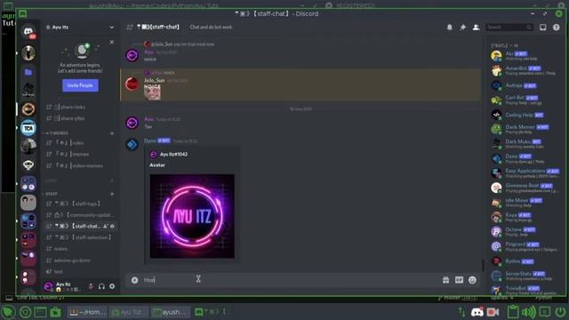 How to make Avatar and Slowmode cmd in discord.py | Utility Part 2 смотреть онлайн