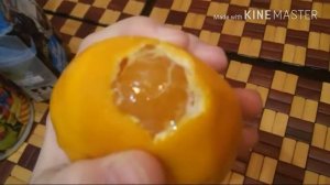 Как отучить кота или кошку рвать обои?