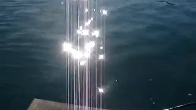 JOÃO PAULO LEANDRO E MAIS UM ROBALÃO NO PORTO DE OMAEZAKI смотреть онлайн