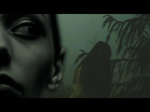 2 GIRLS KIDNAPPED BY BIGFOOT смотреть онлайн