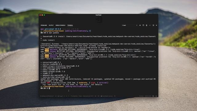 30 - npm audit смотреть онлайн