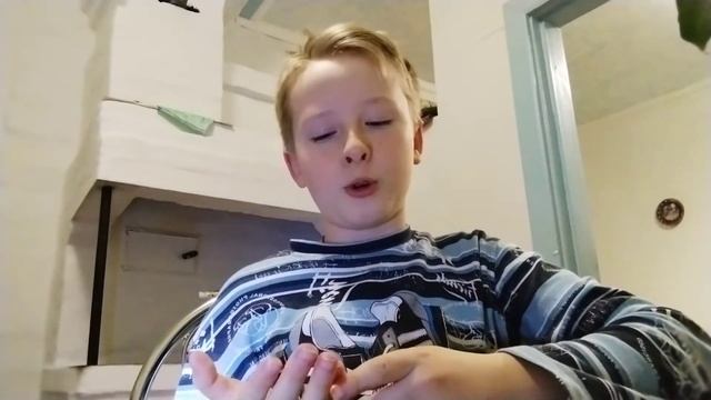 МОПС!!! Линька у мопса, что делать? Мопс линяет. Фульминатор смотреть онлайн