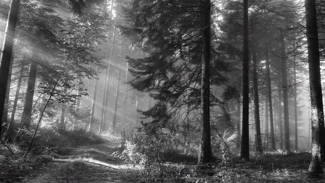 НЕЧИСТЬ ЖИВЁТ В ОЗЕРЕ! Страшные Истории На Ночь! смотреть онлайн