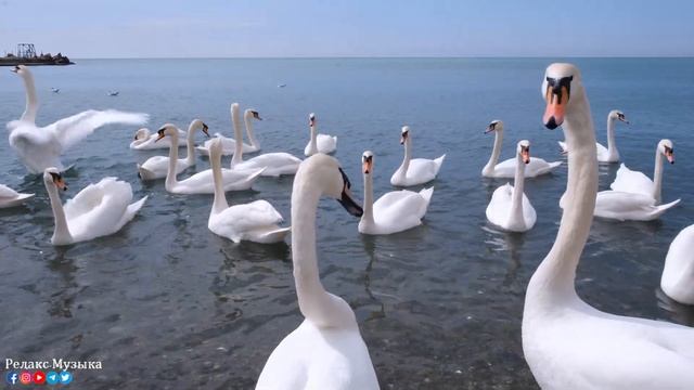 "ДОРОГА В НЕБЕСА" Три месяца я слушала только эту музыку... Самая красивая мелодия в мире смотреть онлайн