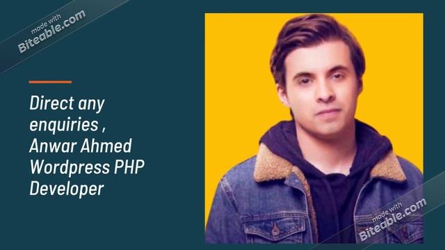 Professional Wordpress Developer Services смотреть онлайн
