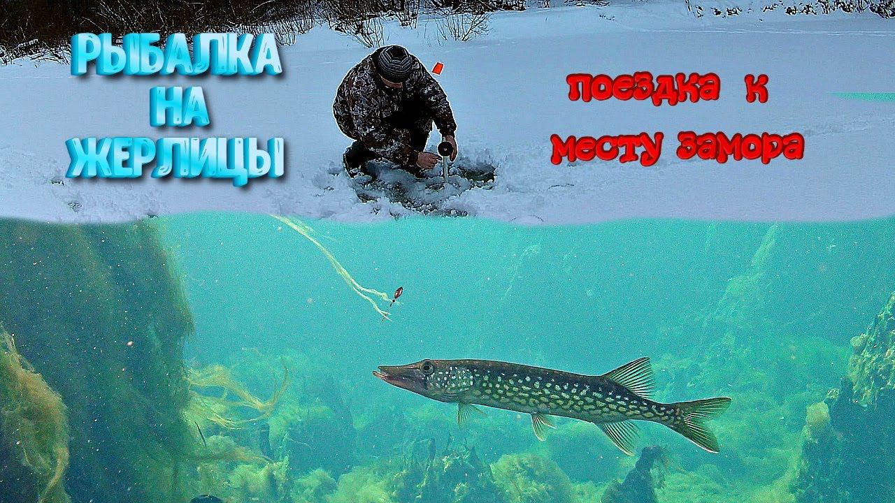 ✔️ Рыбалка на жерлицы Поездка к месту прошлогоднего замора рыбы смотреть онлайн