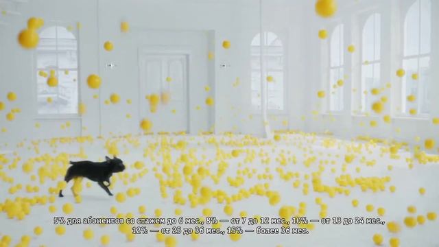 Реклама Билайн - "Общайся и экономь до 15%" смотреть онлайн