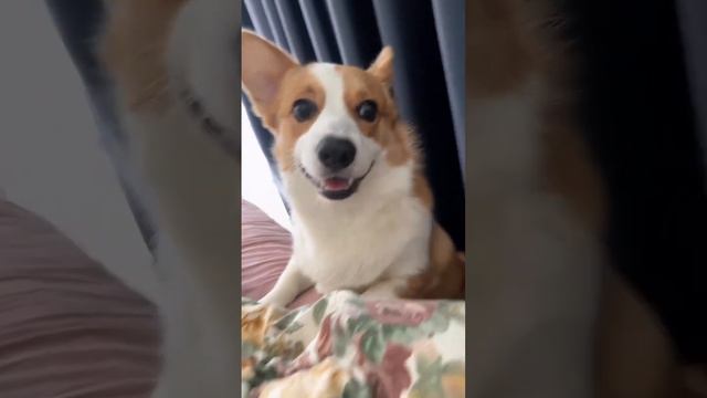 Тот благодаря кому не просыпаю на работу #serko смотреть онлайн