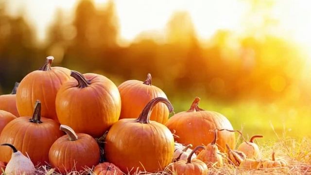 Это вещество, в ТЫКВЕ вызывает НЕОБРАТИМЫЕ ПРОЦЕССЫ в организме. смотреть онлайн