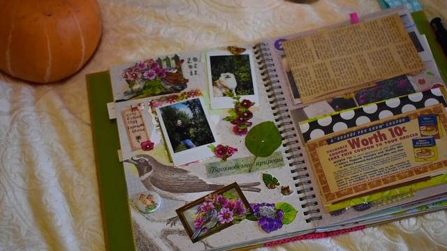 МОЙ СМЭШБУК смотреть онлайн