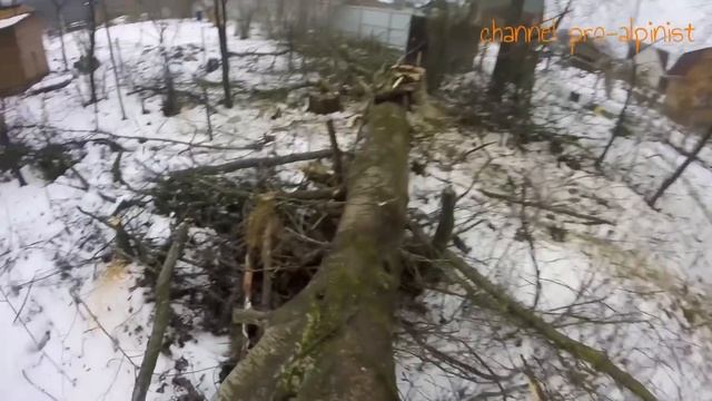 Гнилой ствол, опасное удаление дерева. смотреть онлайн
