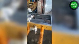 Краска для рамы. Какую выбрать? Полиуретановая грунт-эмаль