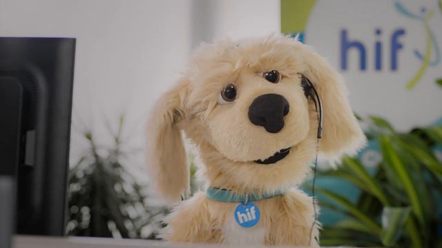 'The other WA health fund' - HIF TV ad смотреть онлайн