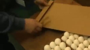 Видео инструкция автоматический Инкубатор для яиц Поседа  сборка и настройка