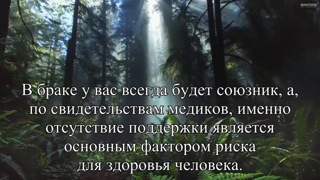 Три причины выйти замуж — Статья смотреть онлайн