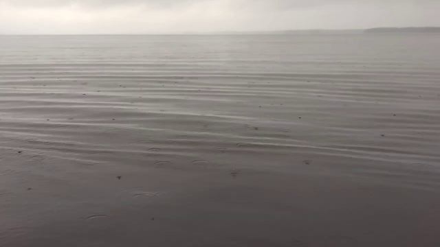 Барышево..., Вуокса..., Рыбалка... - Посошок с Чудиком... ;) смотреть онлайн