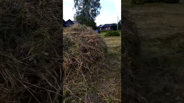 Истории о участке - поездка в деревню часть #14 смотреть онлайн