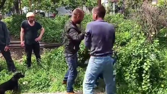 Бокс чемпиона Кличко (озвучка ) смотреть онлайн