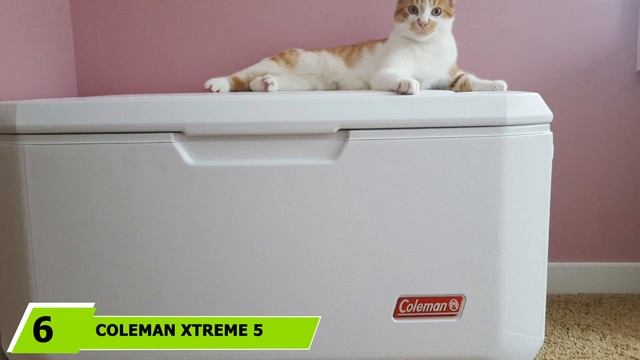 Best Coolers with Wheels in 2023 (Top 10 Picks) смотреть онлайн