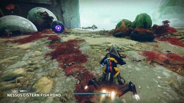 All Fishing Pond Locations Destiny 2 смотреть онлайн