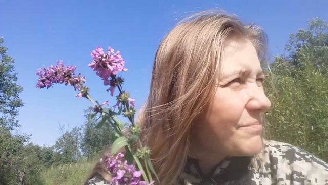 Деревня. Да зачем она нужна??? смотреть онлайн