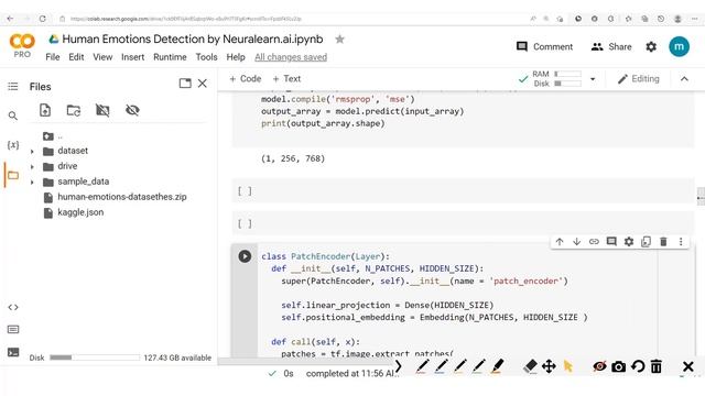 Building a Vision Transformers (VIT) with Tensorflow 2 from Scratch - Human Emotions Detection смотреть онлайн