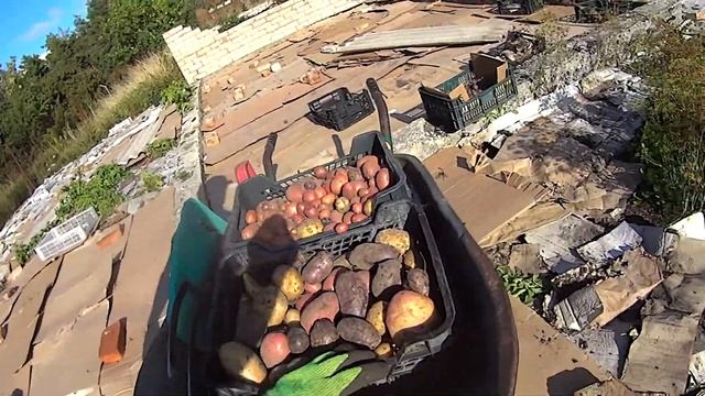 1826 Как картошку собирал под картоном №5 смотреть онлайн