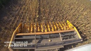 Нова 340 уборка подсолнечника жаткой Санмастер нео 5,6