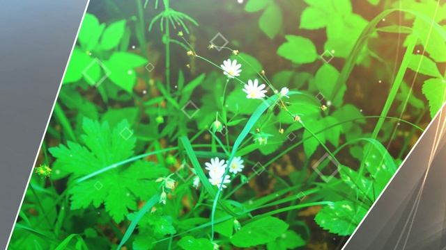 Лето 2023 года.