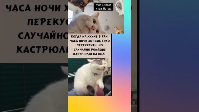 #мемы 2 #рекомендации #реки #роблокс #котики смотреть онлайн