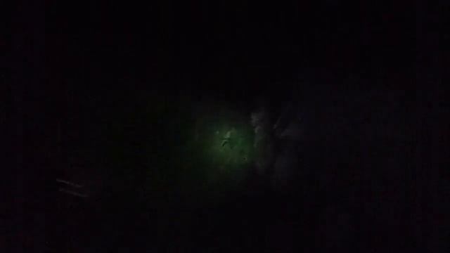The skull monkey strikes again!! смотреть онлайн