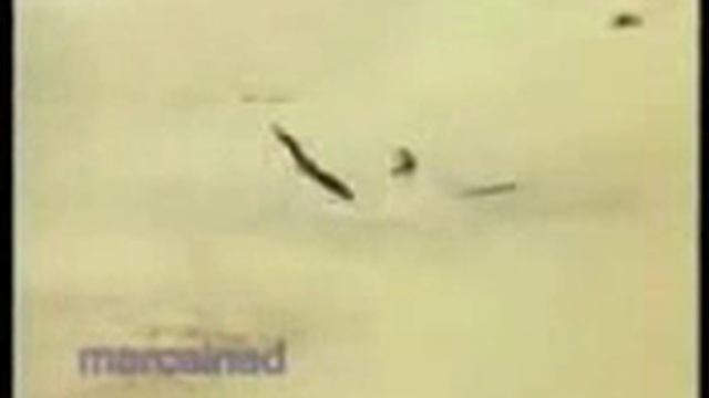 орлы беркут казахстан смотреть онлайн