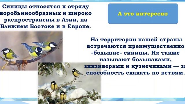 Синичкин день смотреть онлайн